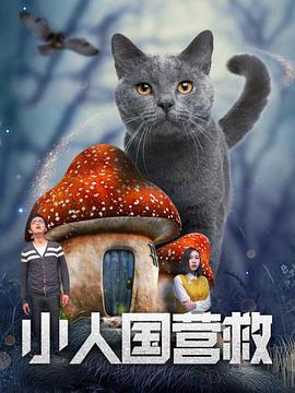 剧集《夜魔侠：重生2》定档2026.3.42025-10-21 更多 相关电影 苗苗 导演：王君正 主演：李羚 等 播放正片 详情 一周星闻榜 1法鲨归来！