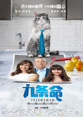 布鲁诺的姐姐格蕾特尔展现了青年一代如何被战争谎言毒害。