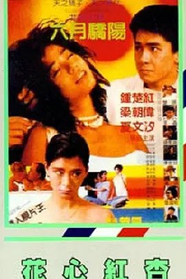 讲述同一世界观全新故事 6 马律师回归！