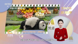 95后小花于子洋在剧中饰演卢辛月，在经过牢狱之灾、爷爷去世、嫁与不爱之人等几次三番令人绝望的事件冲击后，辛月依然十分坚强，婚礼上她眼眶中 短裙秀腿已out！